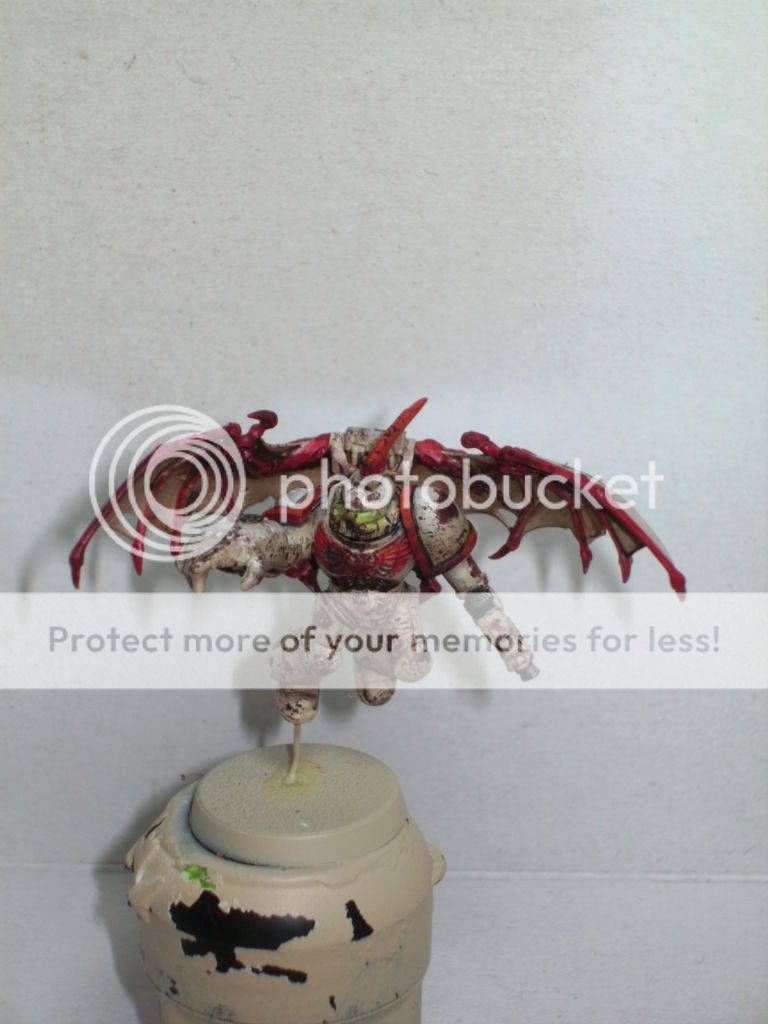 BILD2036.jpg