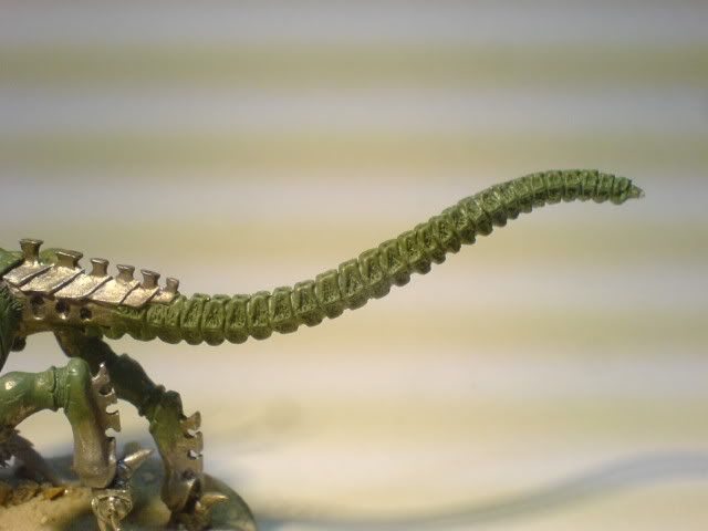 Tail3.jpg
