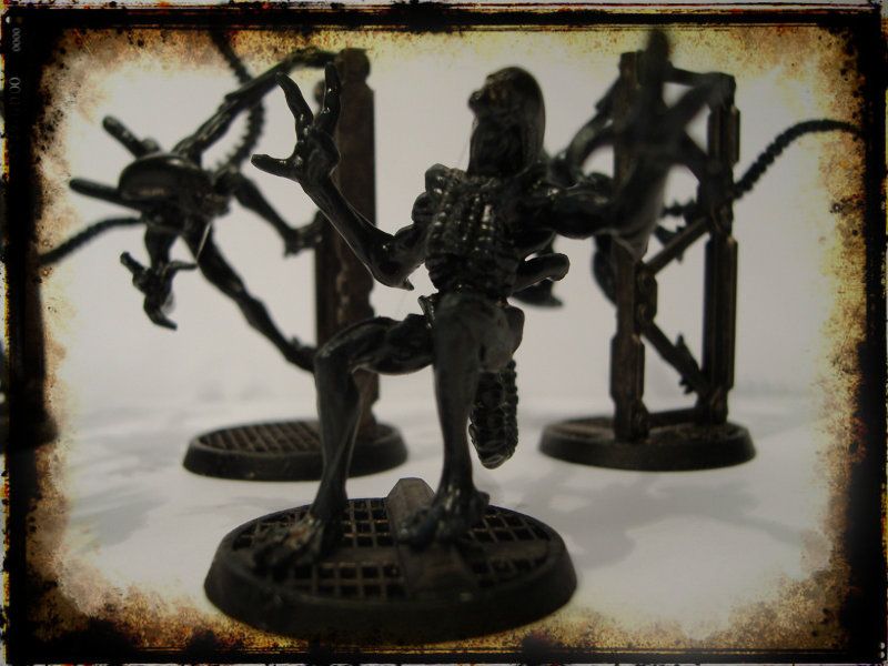 AlienWarrior2.jpg