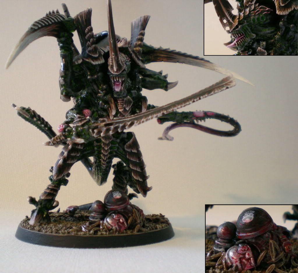 Tyraniden053.jpg