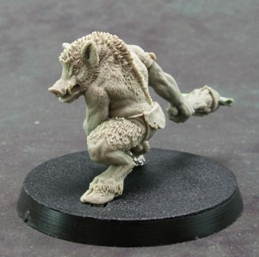 Hog+04.JPG