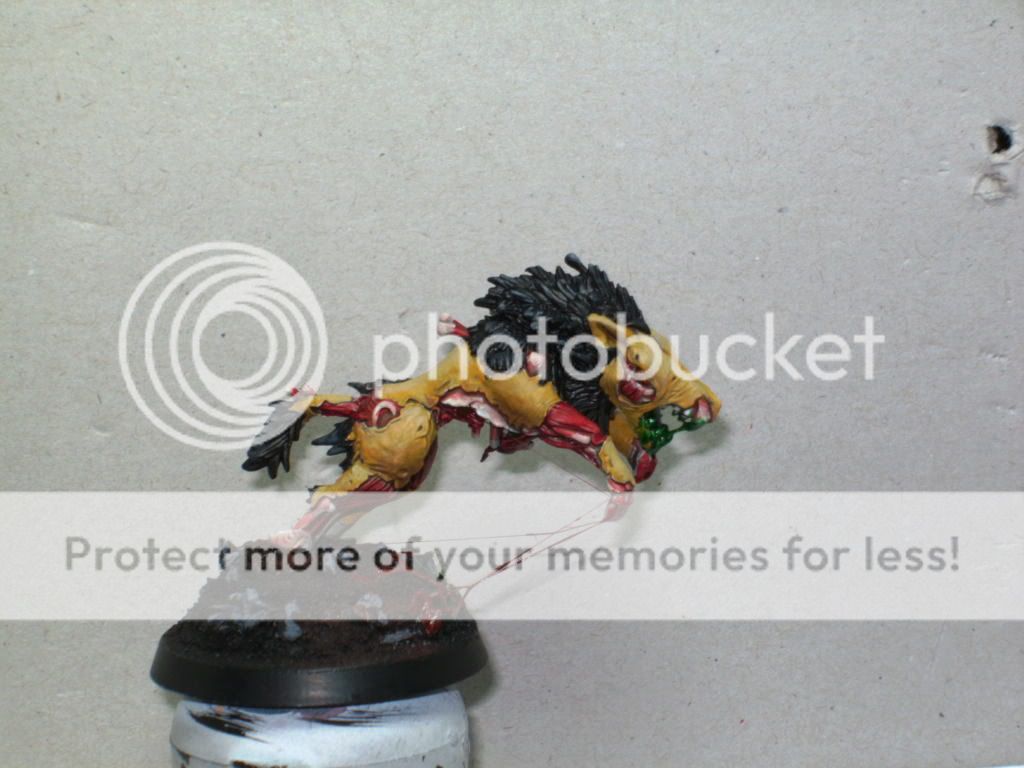 BILD1757.jpg