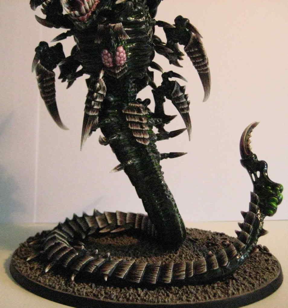 Trygon063.jpg