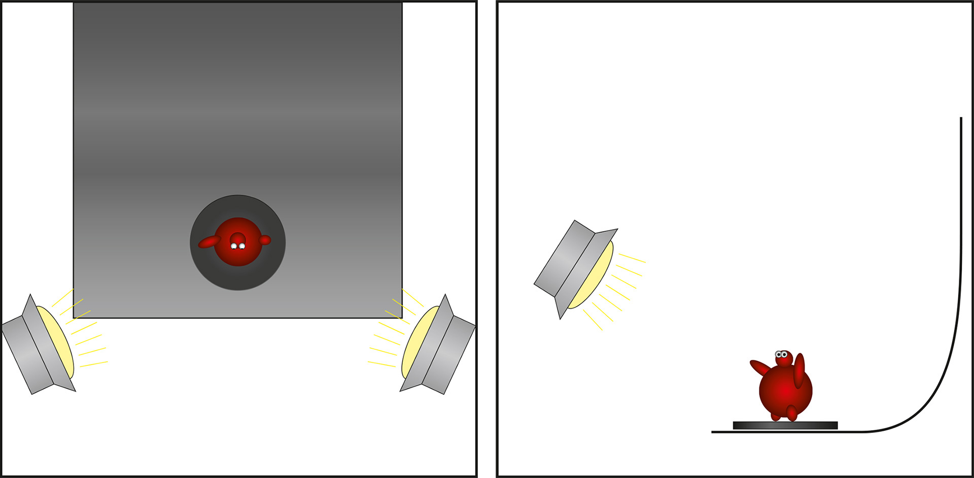 tut-foto-light.jpg