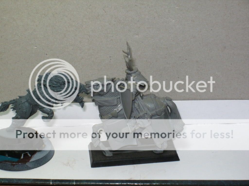BILD1676.jpg