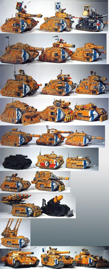 Taipan.jpg