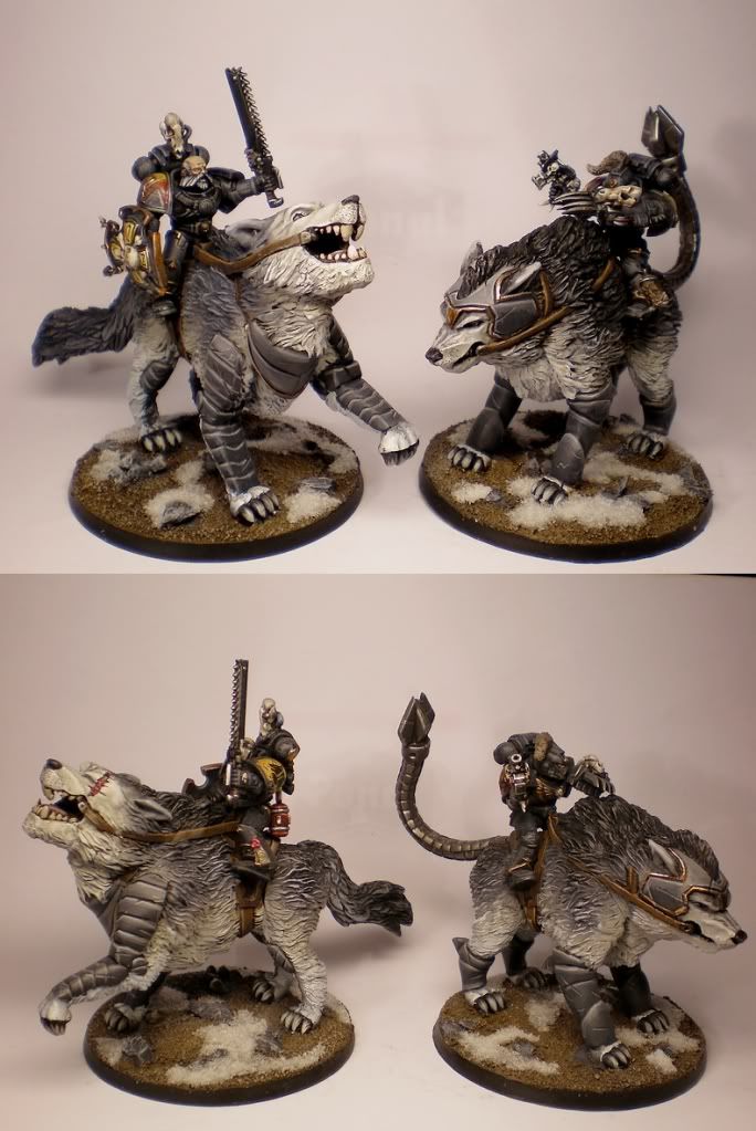 donnerwolf-cavneu1.jpg