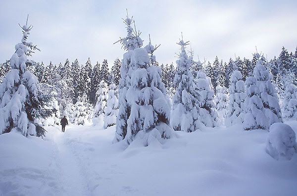 schnee1.jpg