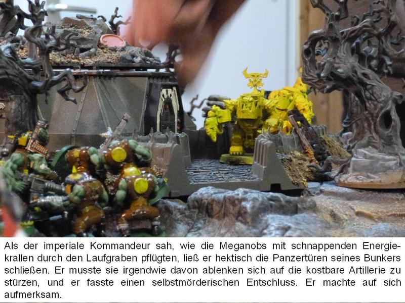 21345365te.jpg