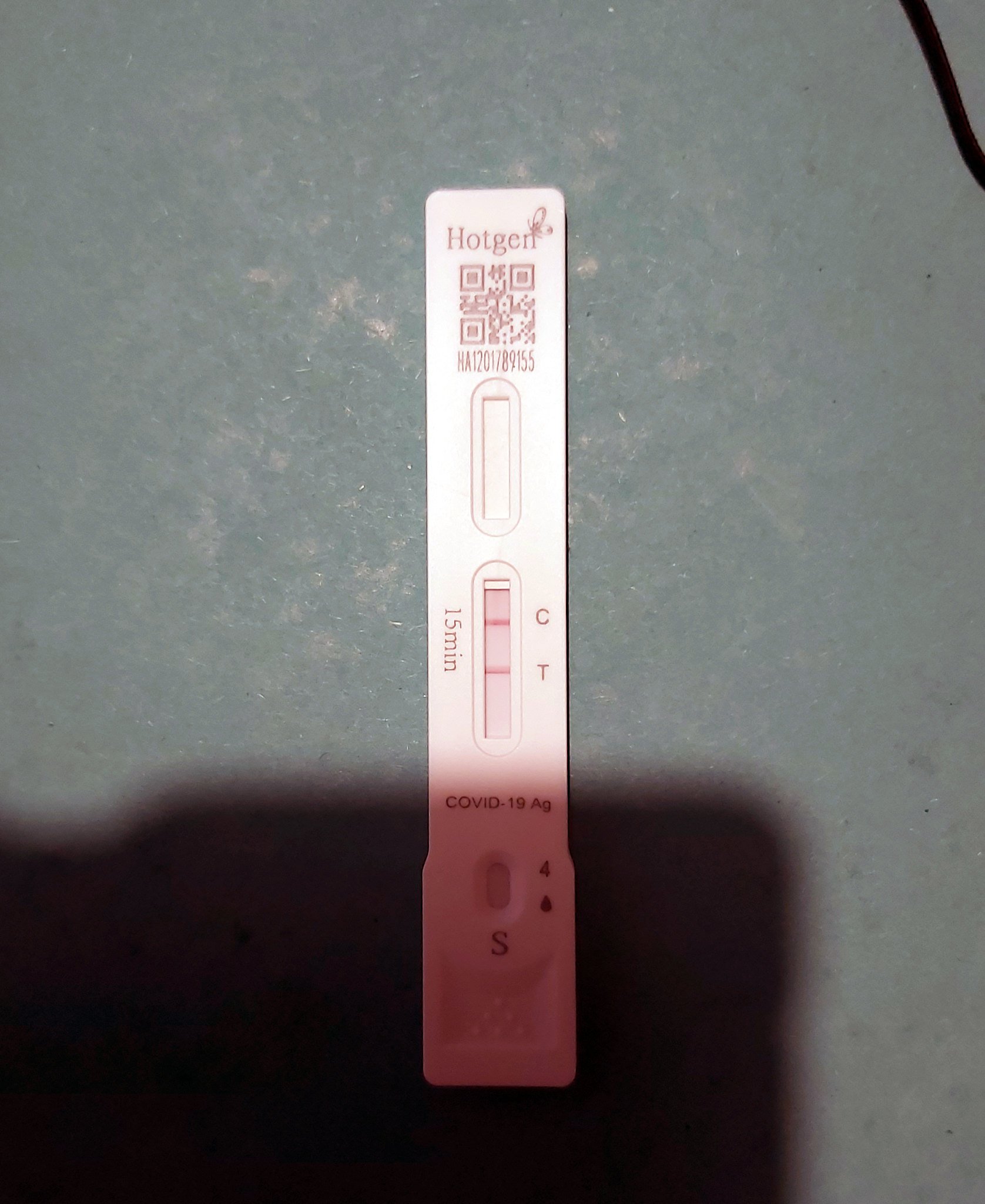 54120709981_c1636fcb7b_k.jpg