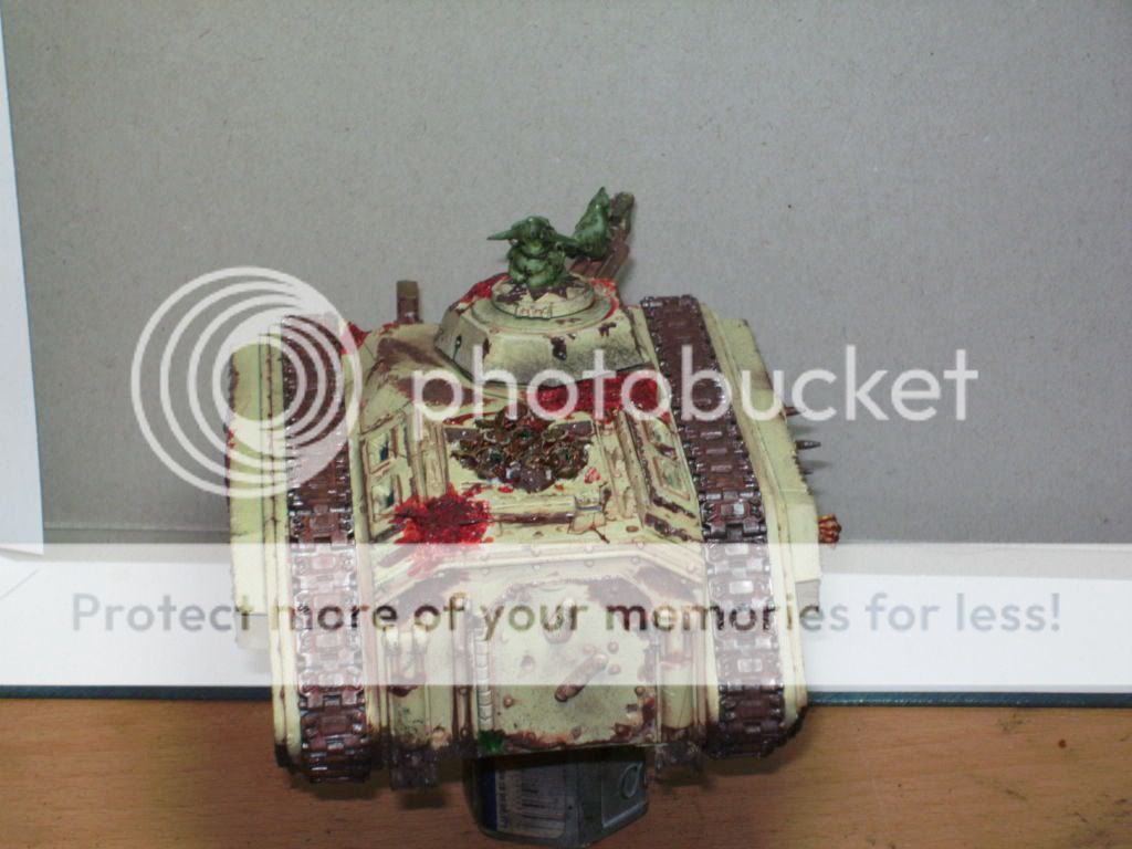 BILD1769.jpg