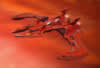 av-2851.jpg