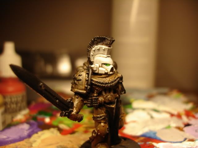 DSC00784.jpg