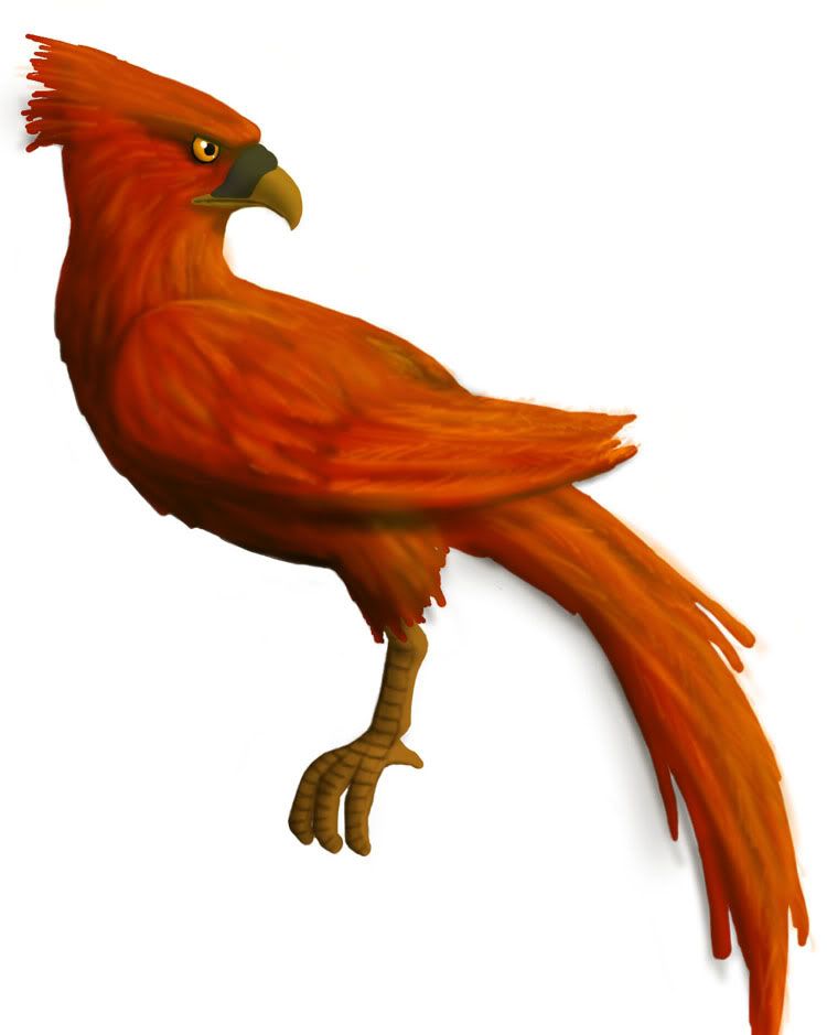 Phoenix-1klein.jpg