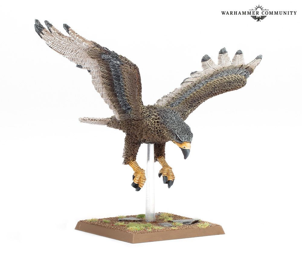 sundaypreview-feb9-tow_12-greateagle-slheju3fzn.jpg