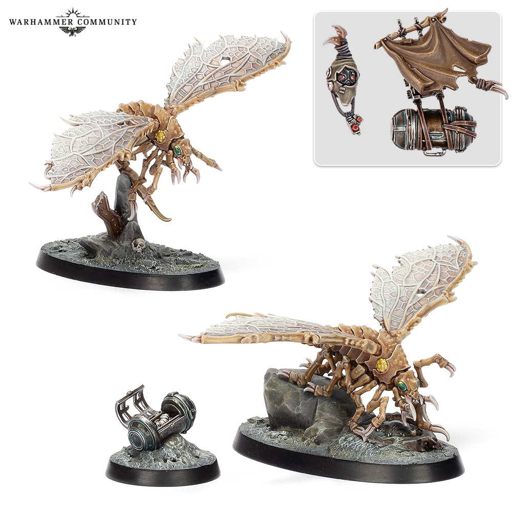 sundaypreview-sp7-nec_07-ashwinghelamites-mp6xrrpfye.jpg