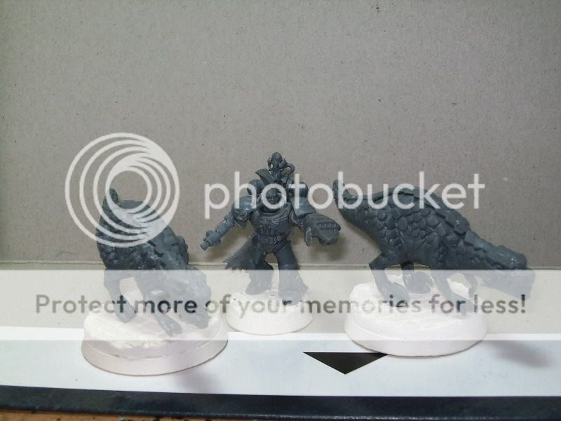 BILD2835.jpg