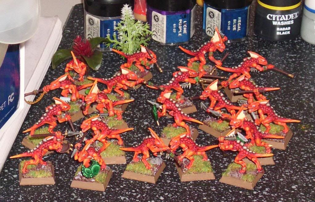 24skinksfertig.jpg