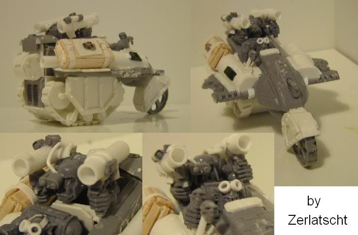 TauPiranha1.jpg