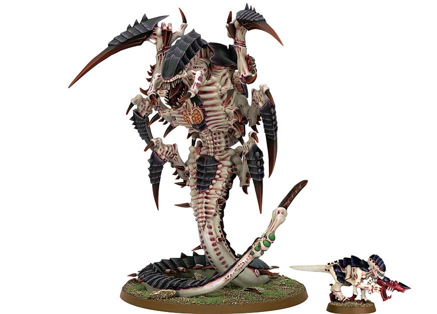gw_trygon.jpg