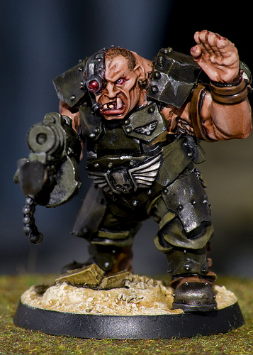 Ogryn1.jpg