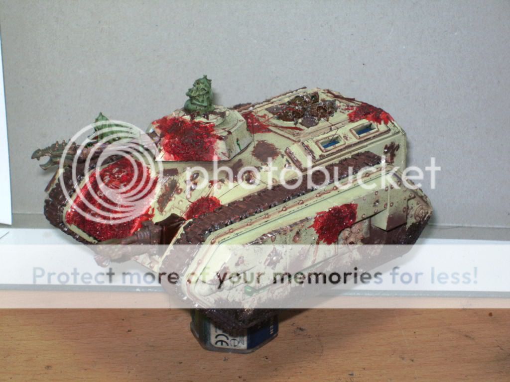 BILD1764.jpg