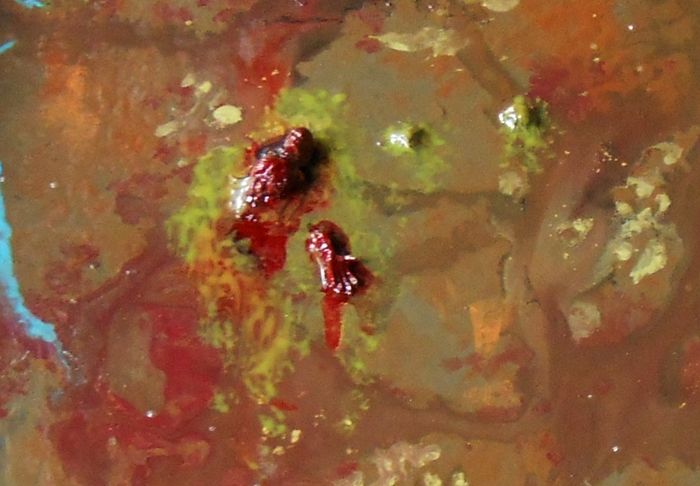 DSCN3543-corpse_zps9626e7cb.jpg