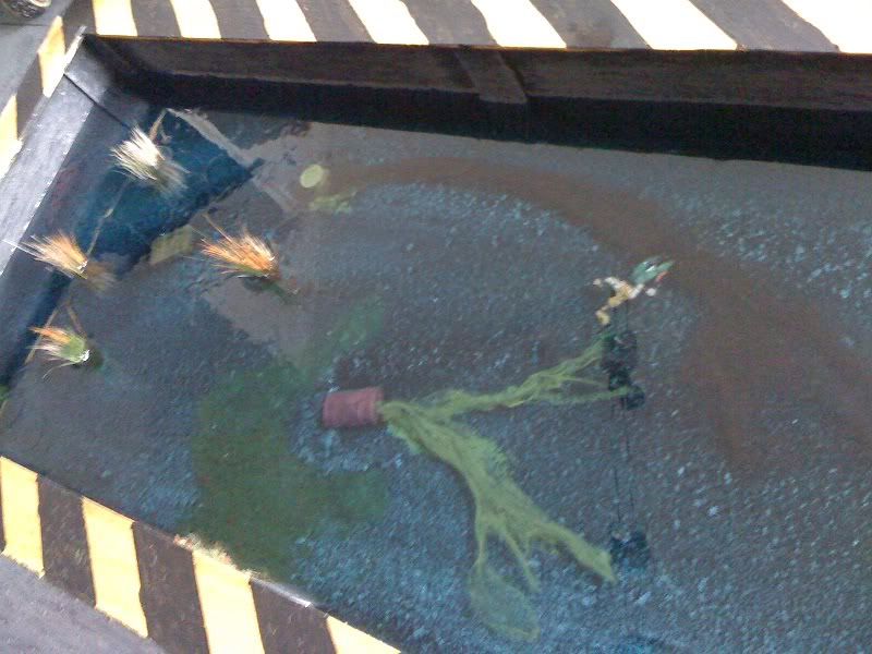 Foto2.jpg