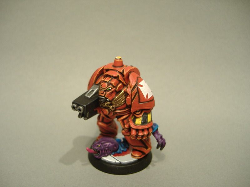 DSCF3124_zps1ts16y2g.jpg