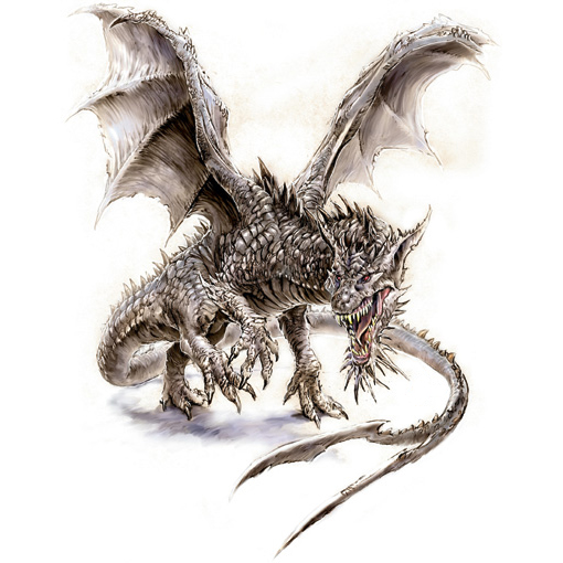 Drache_folie4.jpg