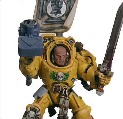 termi_sarge_detail.jpg