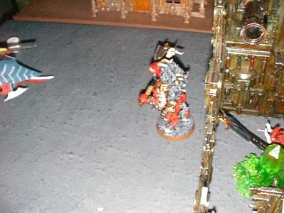 SANY0027-1.jpg