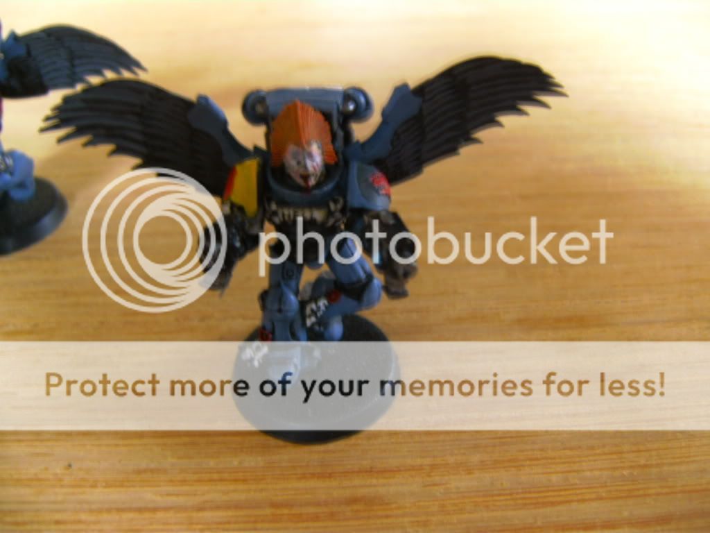 BILD0686.jpg
