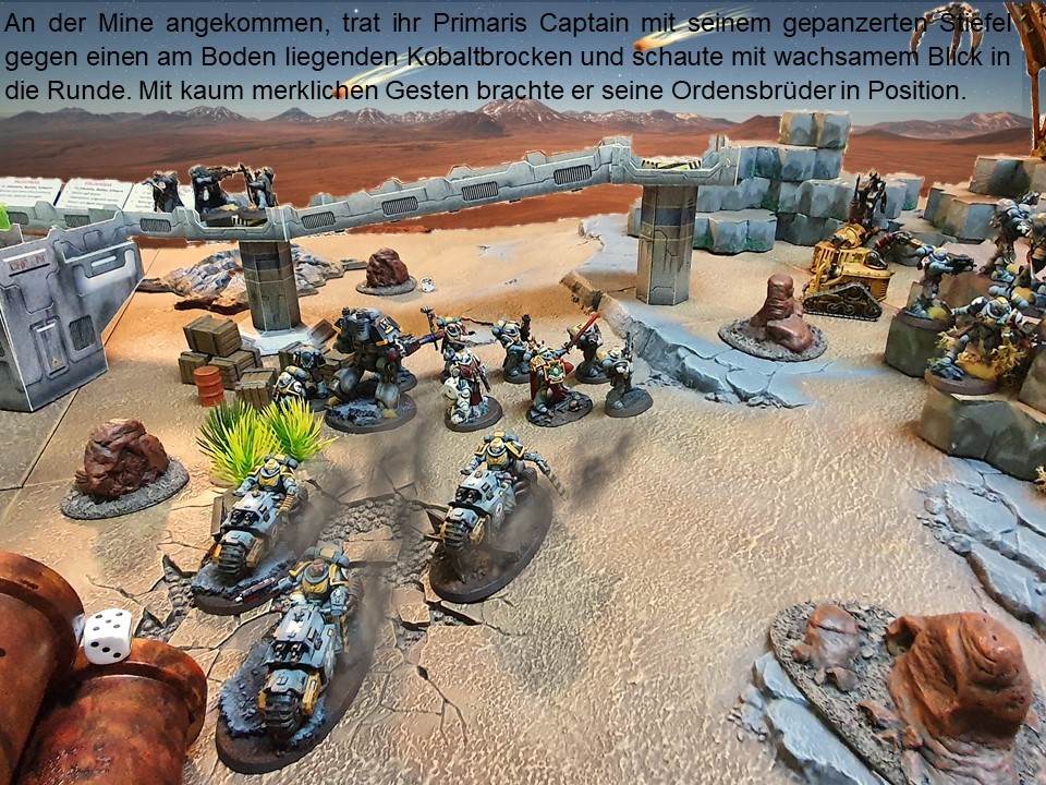 40080308ec.jpg
