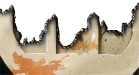 bnrd3ipgj1zc5peeu.png