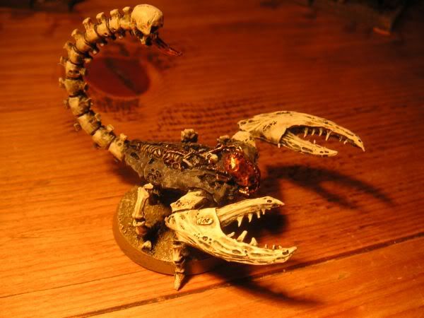 Skorp.jpg