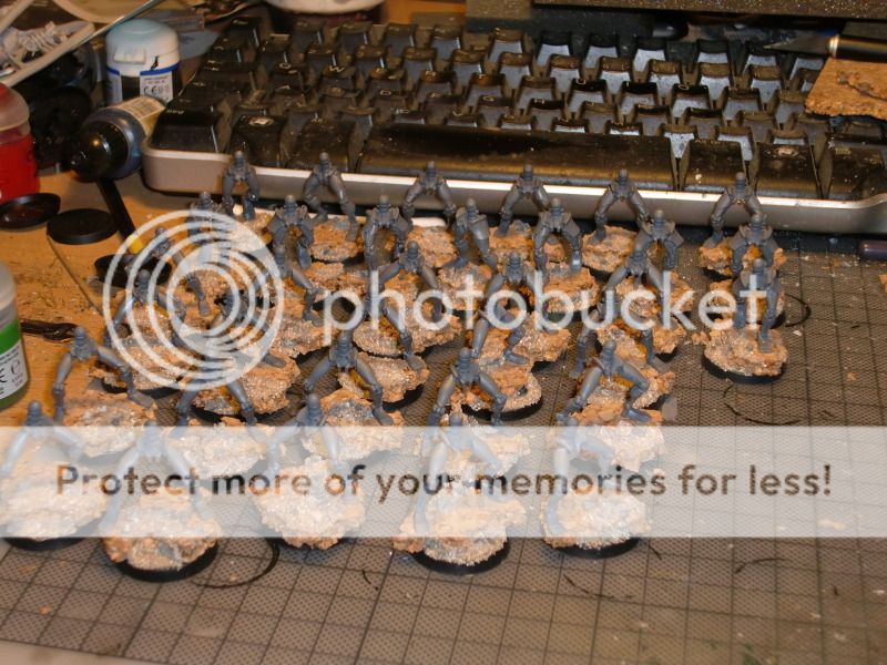CIMG0618.jpg