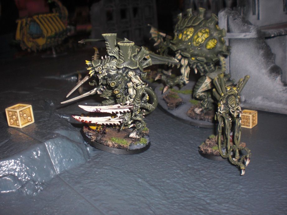 CIMG8835_zpsdace5fd8.jpg