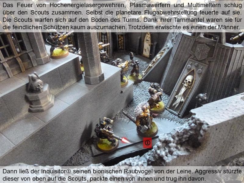 25253216fr.jpg