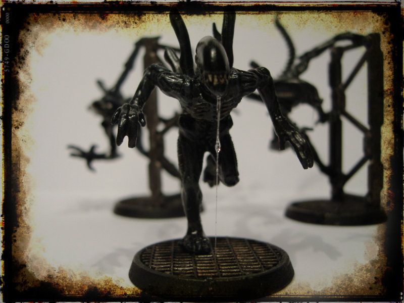 AlienWarriordetail.jpg