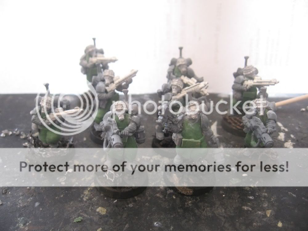 vets.jpg