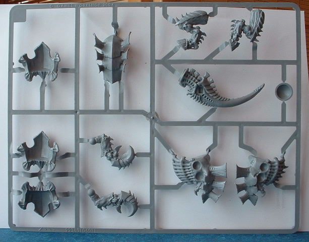 carnisprue1.jpg
