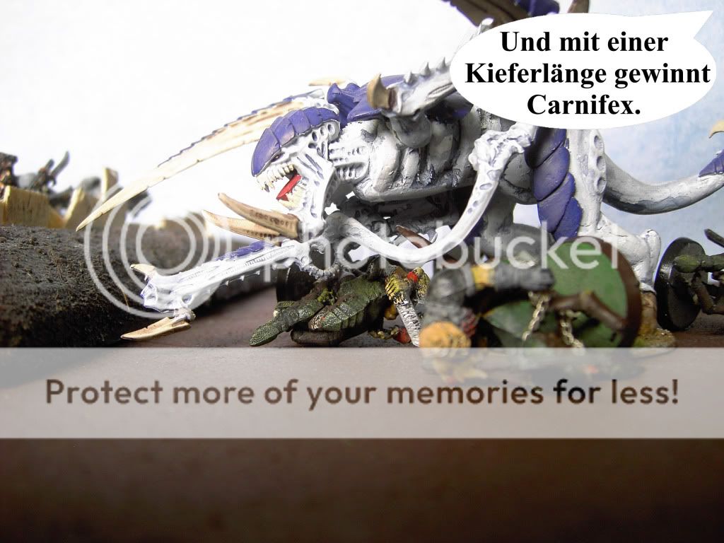 BS202.jpg