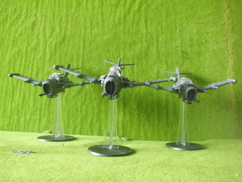 DSCI0388.jpg