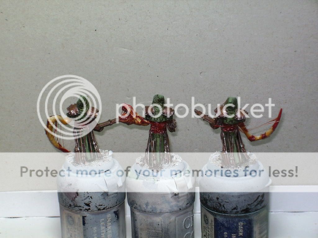 BILD1682.jpg