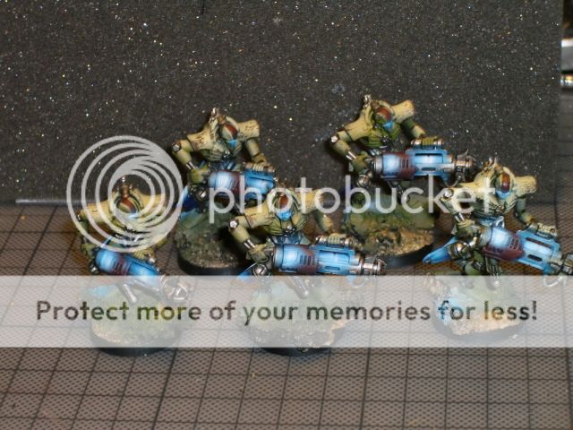 CIMG0604.jpg