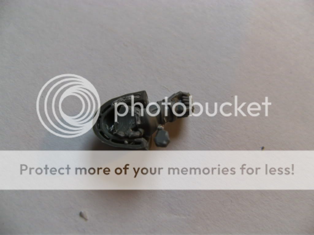 BILD0729.jpg