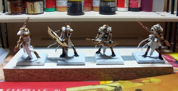 wip1711-1.jpg