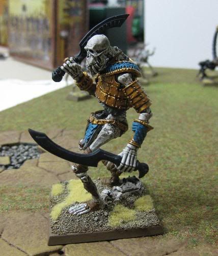 riese4.jpg