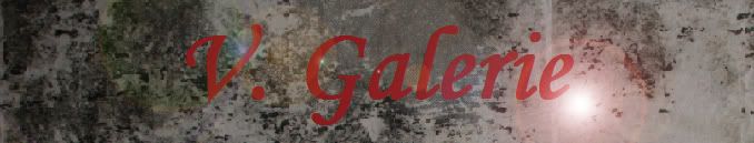 5-galerie.jpg